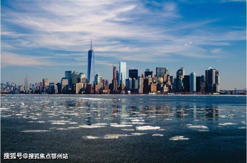 上海楊浦萊克大廈售樓處聯系方式與項目詳情解析